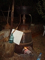 Arak at the Wehbes